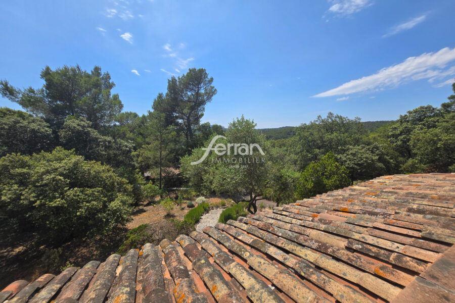 Maison à vendre à Sillans-la-cascade — Vue nature — photo 1