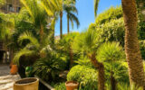 Appartement à vendre à Antibes