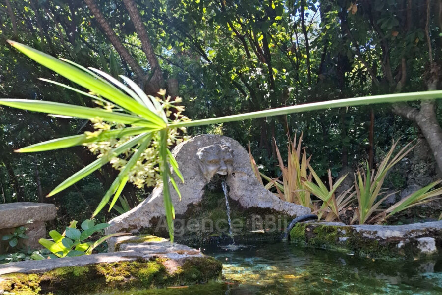 Maison à vendre à Vence — Vue nature — photo 25