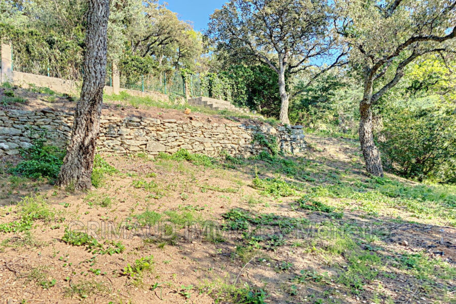 Maison à vendre à Grimaud — Vue nature — photo 5
