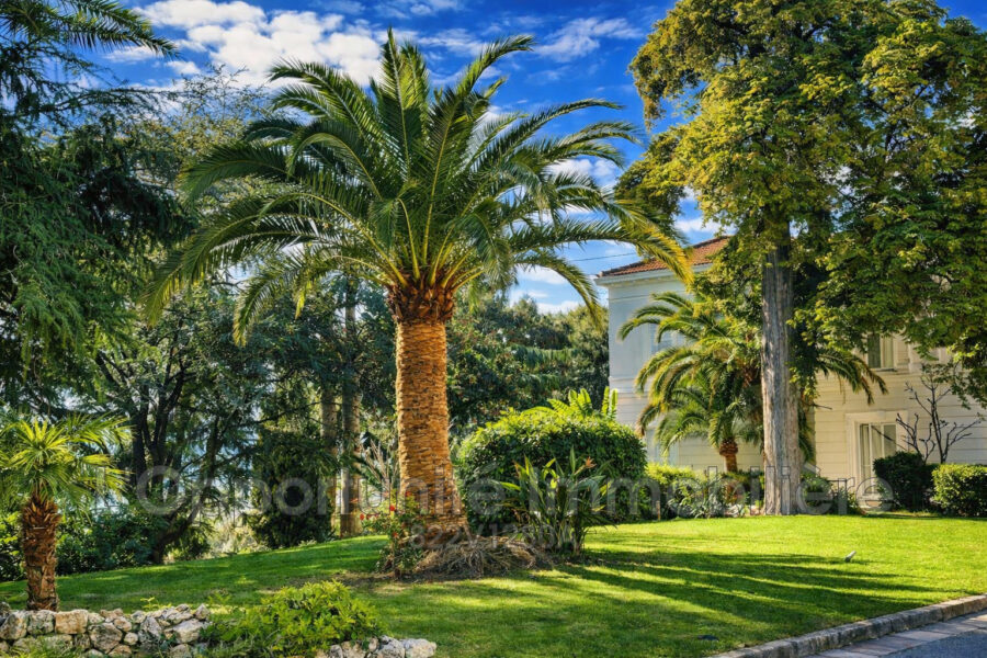 Appartement à vendre à Cannes