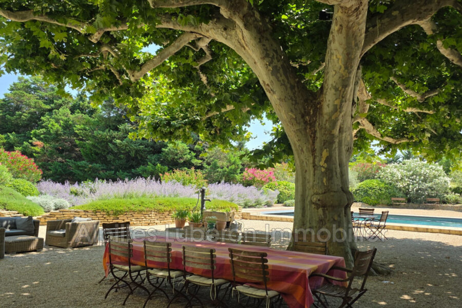 Maison à vendre à L&rsquo;isle-sur-la-sorgue — Vue nature — photo 15