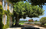 Maison à vendre à L&rsquo;isle-sur-la-sorgue — Vue nature — photo 14