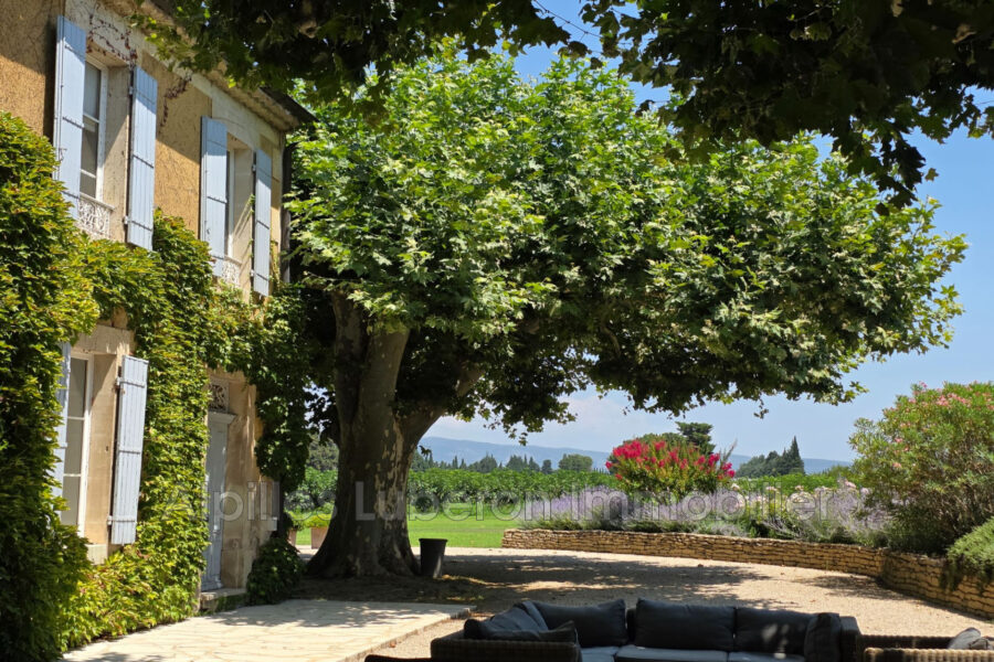 Maison à vendre à L&rsquo;isle-sur-la-sorgue — Vue nature — photo 14