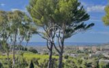Maison à vendre à Cannes