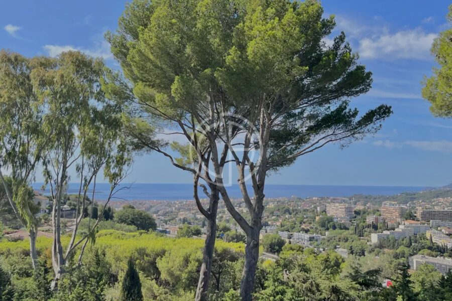 Maison à vendre à Cannes