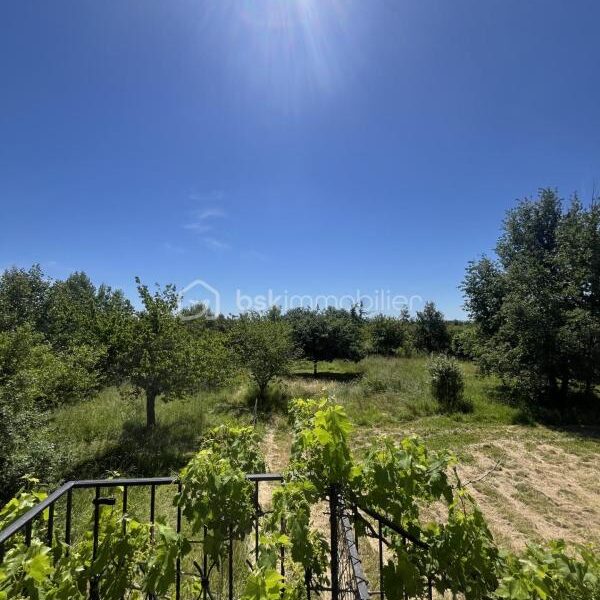 Maison à vendre à Gaillac