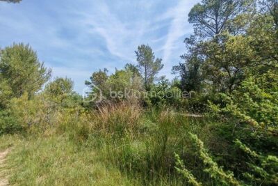 Terrain à vendre à Saussines