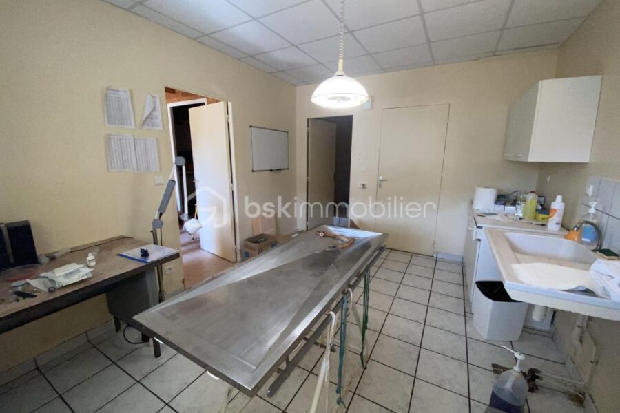 Maison à vendre à Allegre
