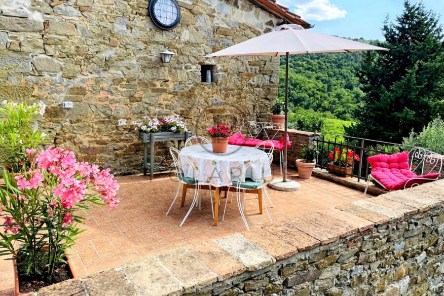 Maison à vendre à Greve in chianti