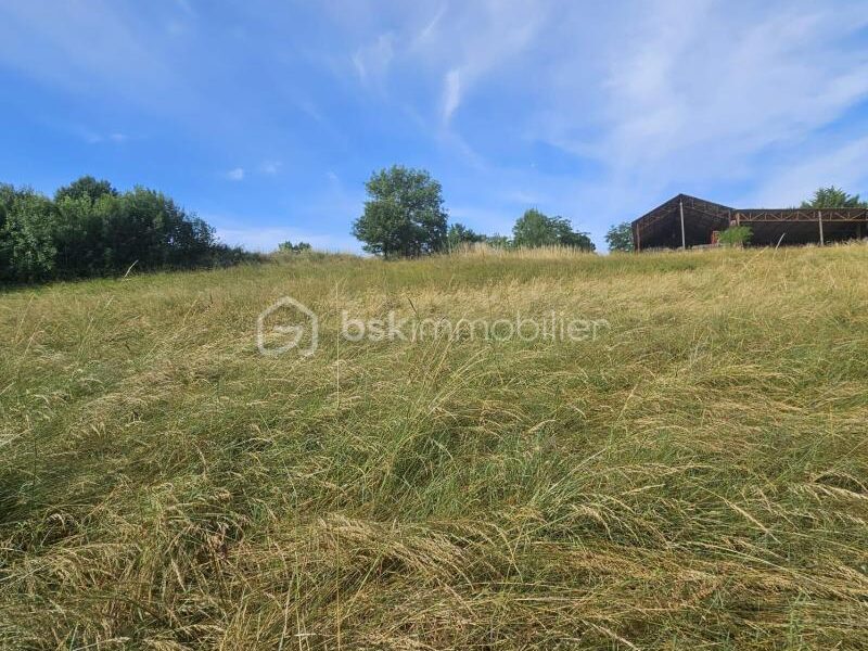 Maison à vendre à La sauvetat