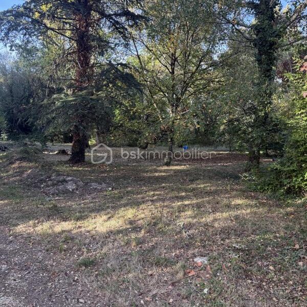 Maison à vendre à Razac sur l isle — Vue nature — photo 9