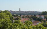 Appartement à vendre à Montpellier — Vue nature — photo 1