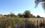 Terrain à vendre à Poursac — Vue nature — photo 1