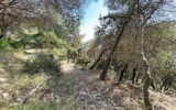 Terrain à vendre à Falicon