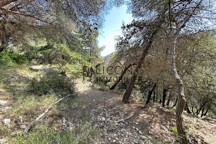 Terrain à vendre à Falicon