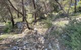 Terrain à vendre à Falicon