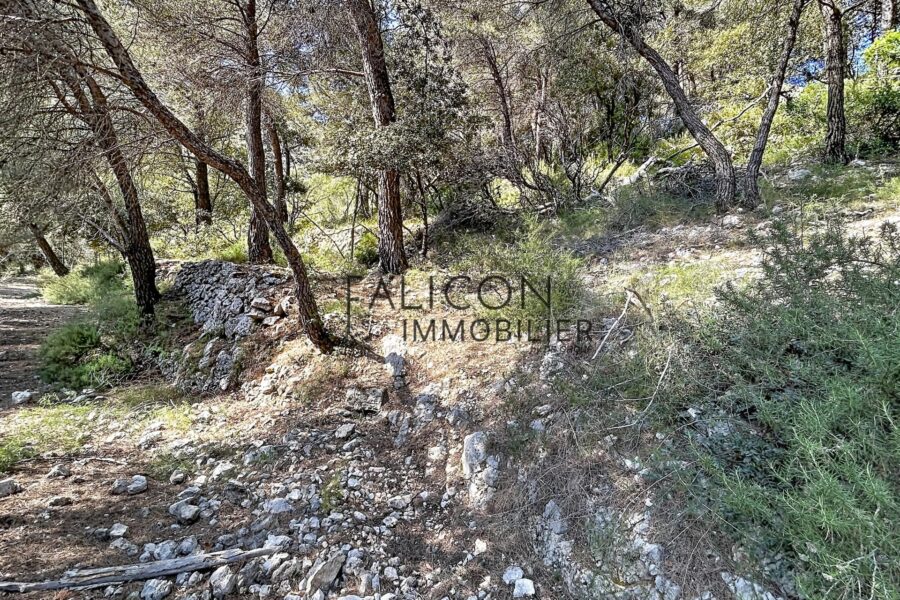 Terrain à vendre à Falicon