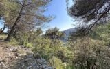 Terrain à vendre à Falicon
