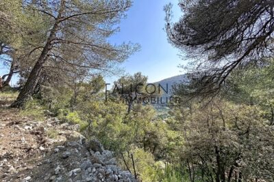 Terrain à vendre à Falicon