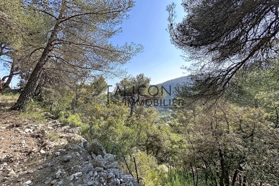 Terrain à vendre à Falicon