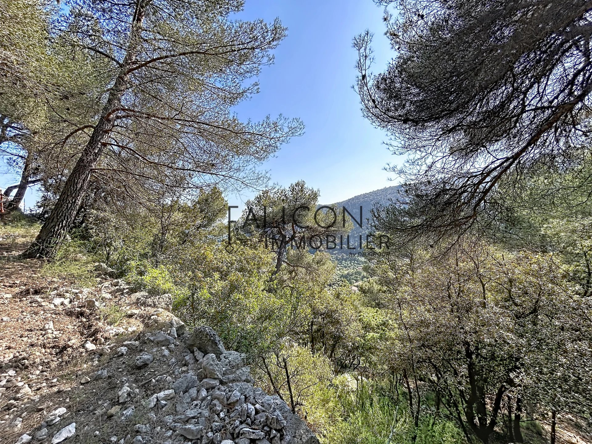 Terrain à vendre à Falicon