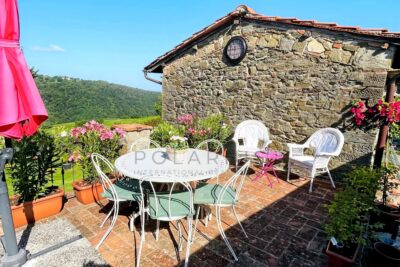 Maison à vendre à Greve in chianti