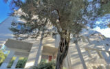 Appartement à vendre à Montpellier