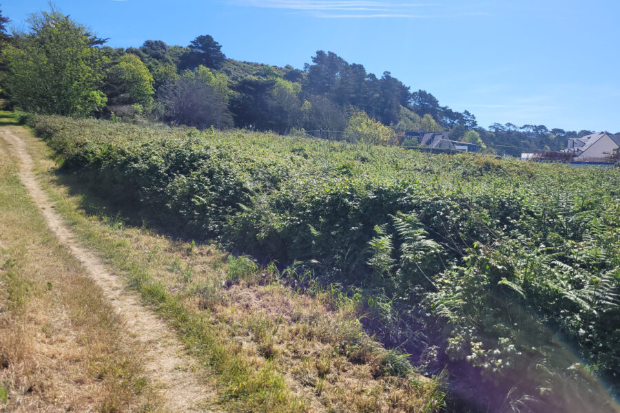 Terrain à vendre à Trébeurden