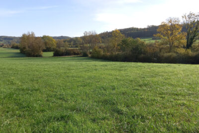 Terrain à vendre à Messia-sur-sorne