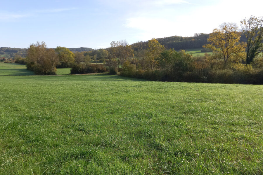 Terrain à vendre à Messia-sur-sorne