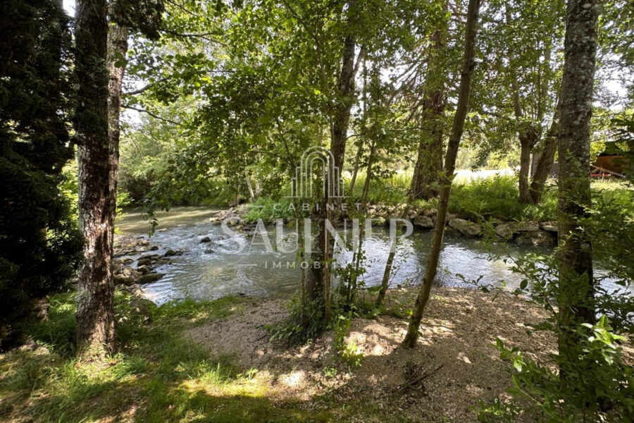 Maison à vendre à Chançay — Vue fleuve — photo 19