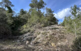 Terrain à vendre à Rocbaron — Vue nature — photo 1