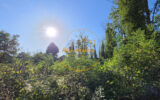 Terrain à vendre à Beaugency — Vue nature — photo 1
