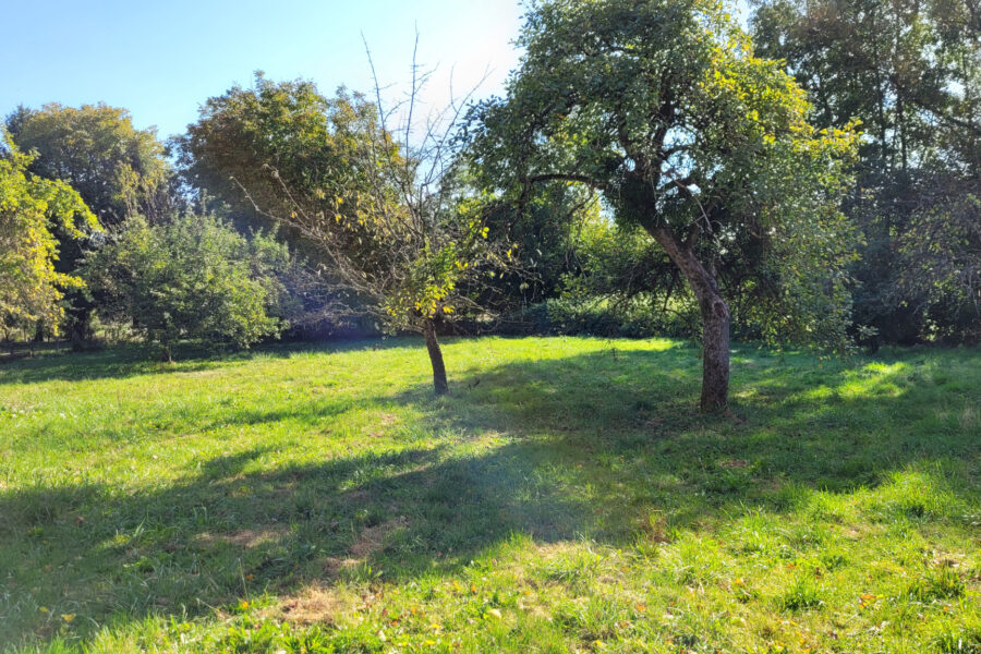 Maison à vendre à Pompierre-sur-doubs