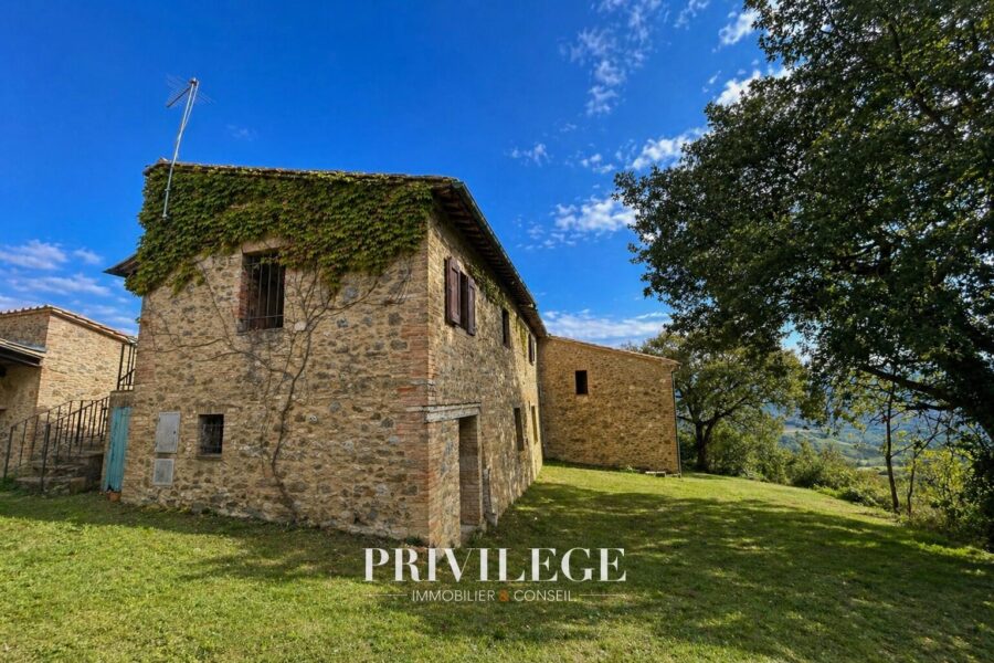 Maison à vendre à Torrita di siena