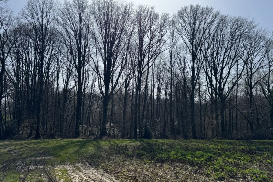 Terrain à vendre à Écueillé