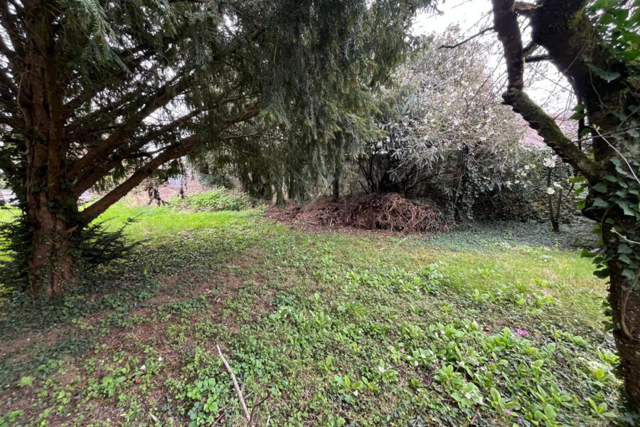 Terrain à vendre à Guignes — Vue dégagée — photo 3