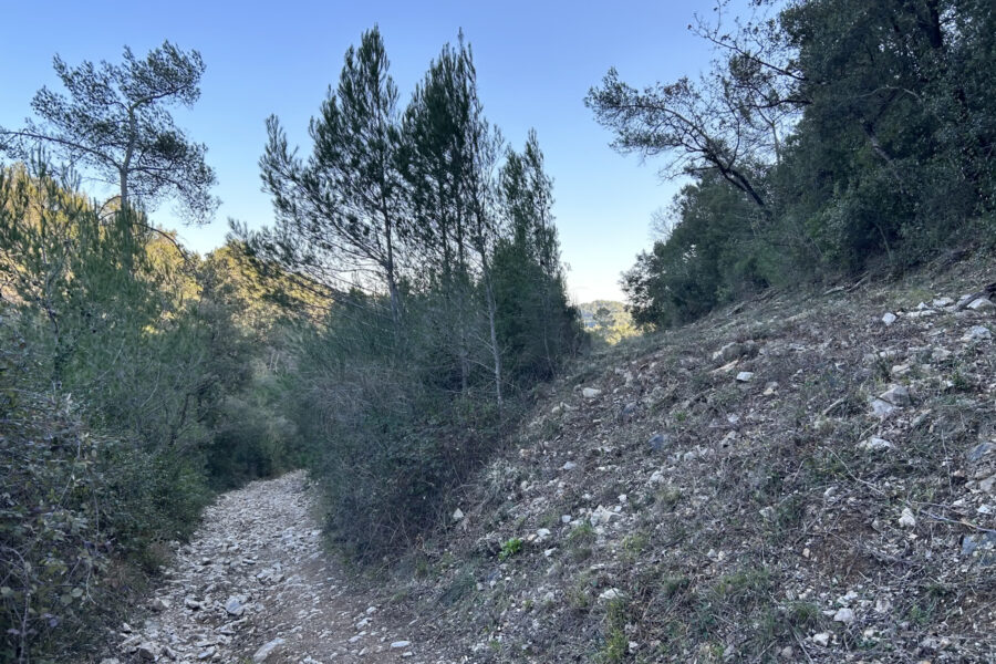 Terrain à vendre à Rocbaron — Vue nature — photo 2