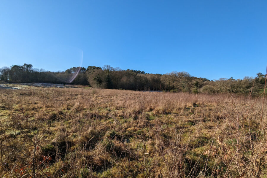 Terrain à vendre à Beignon