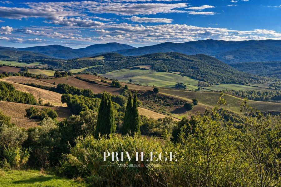Maison à vendre à Torrita di siena