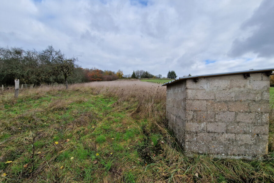 Maison à vendre à Arbigny-sous-varennes