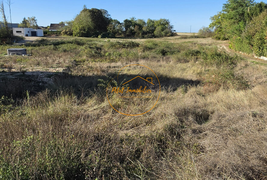 Terrain à vendre à Beaugency — Vue nature — photo 2