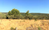 Terrain à vendre à Aniane