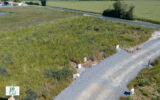 Terrain à vendre à Luçon