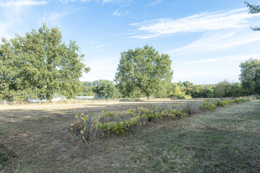 Terrain à vendre à La caillère-saint-hilaire