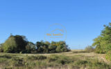 Terrain à vendre à Beaugency — Vue nature — photo 1