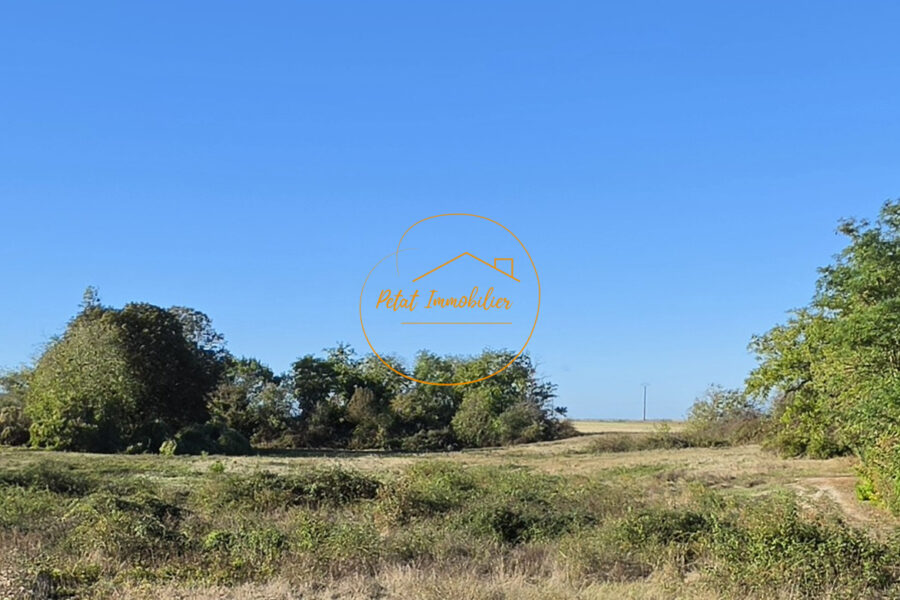 Terrain à vendre à Beaugency — Vue nature — photo 1
