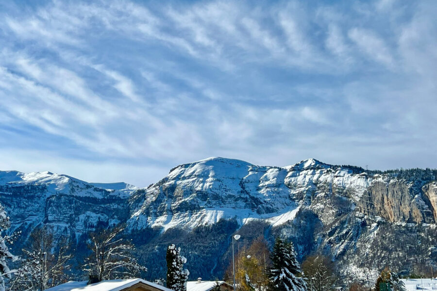 Appartement à vendre à Les carroz d&rsquo;araches