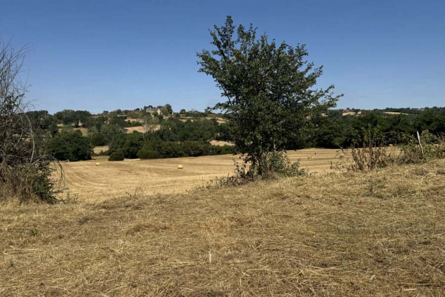 Terrain à vendre à Lys-saint-georges